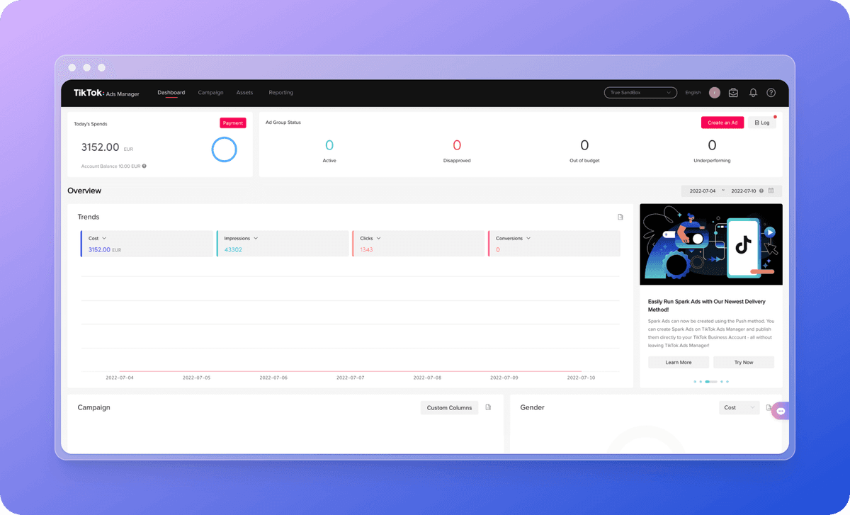 TikTok Ads Manager interface showing tracking limitations